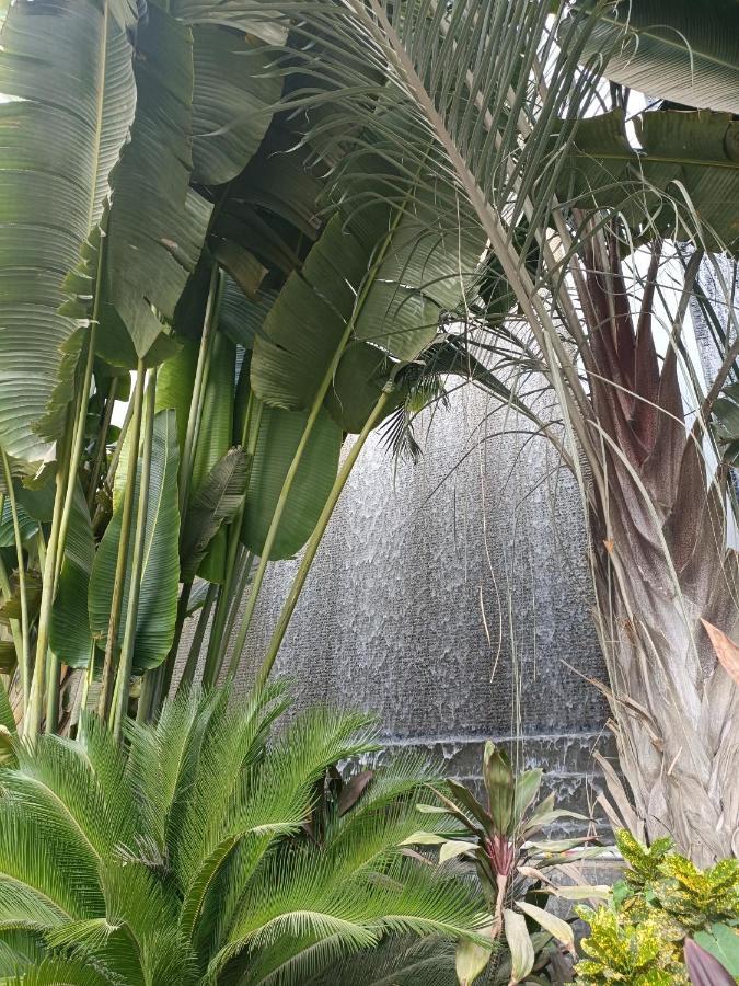 קהיר Sheraton Ocean 601-B - Private Apartments מראה חיצוני תמונה